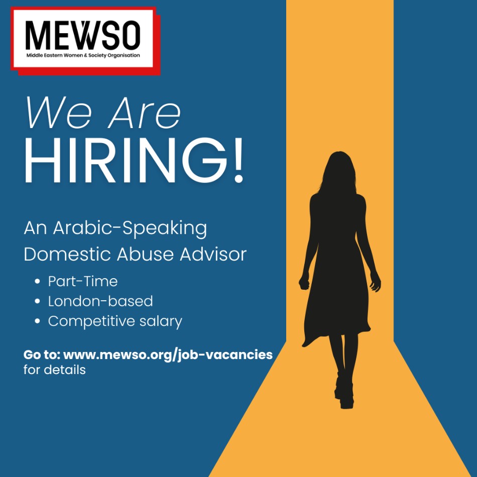 MEWSO_DV_Advisor_Vacancy_Ad_July_2025.jpg